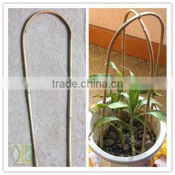 Bamboo Tonkin Cane Trellis for Climbing Plants photo-2