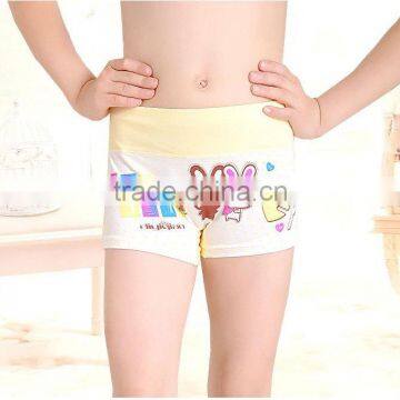 Carton Girl Panty Briefs Seamless Lingerie Kids Underwear for Girls photo-4