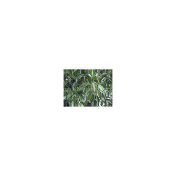 Brass Sports Hexagonal Wire Netting , Green 50mm Wire Mesh