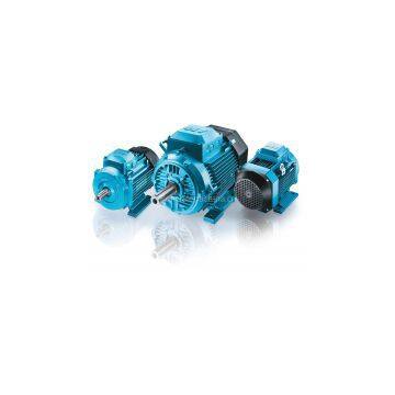 Siemens  Slip Ring High Voltage Motor