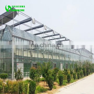 Greenhouse system engineering company design Glass Agricultural greenhouse project Film engineering steel pipe