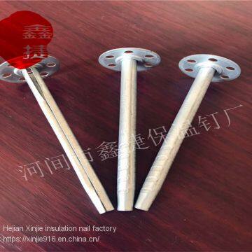External Wall Metal Insulation Nail High Quality Wall Insulation Nail External Use of Engineering Insulation Nails photo-3