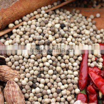 hainan white pepper for sale