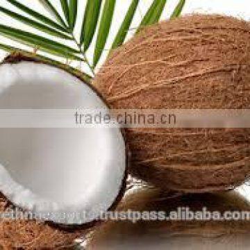 Fresh Coconut With Low Fat and High Protein photo-6