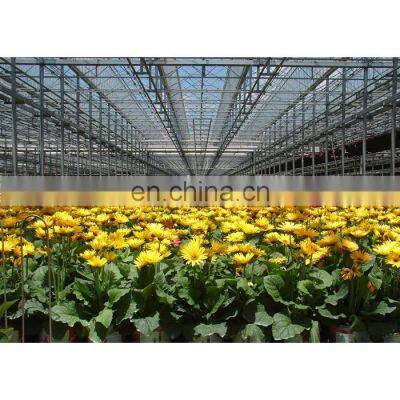 2020 cheap glass greenhouse for sale