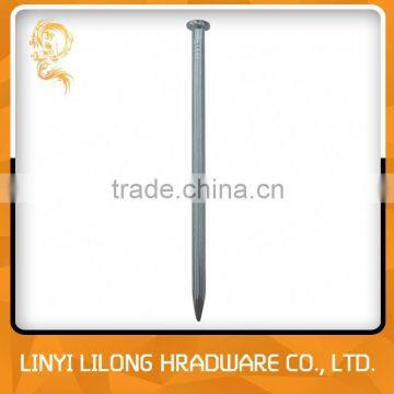 Made In China Galvanized Concrete Nails/Steel Nails photo-4