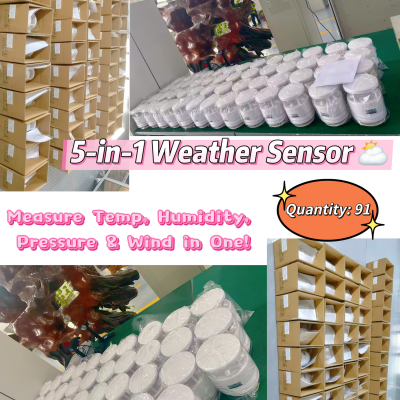 5-in-1 Weather Station