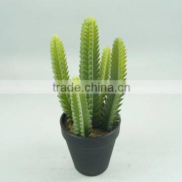 Artificail Plants & Bonsai with plastic pot