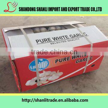 Purely Green Organic White Garlic 5pcsbag photo-6