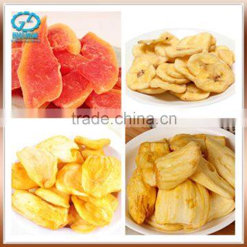 High Quality Conveyor Belt Dryer With Best Service photo-4