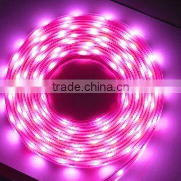 LED flexible Strip