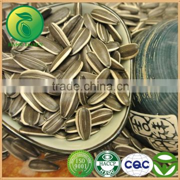 Confectionery Sunflower Seeds With Good Price