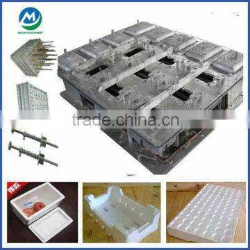 Heat Insulation Mould/Heat Preservation EPS Mould/EPS Moulding