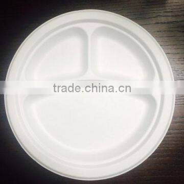 sugar cane pulp plate