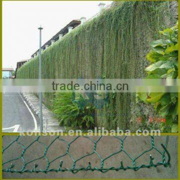 tree guard hexagonal wire mesh