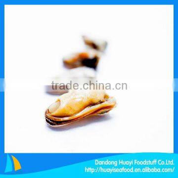 frozen cooked mussel without shell