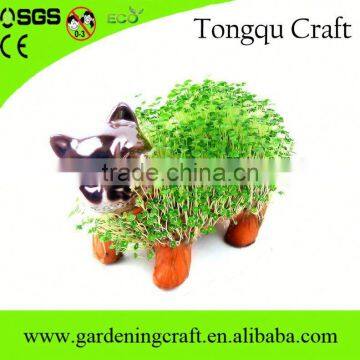 Best Selling Christmas Gifts 2016 Chia Pet Promotional Gifts 2015 Handmade Gifts photo-5