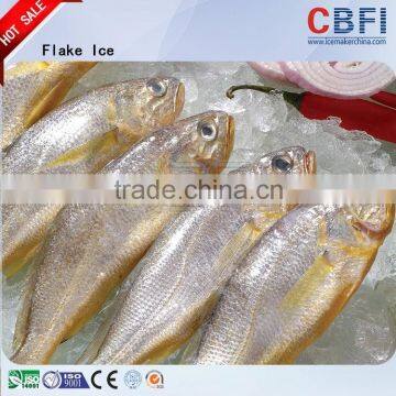 Best Quality Flake Ice Machinery For Morocco photo-6