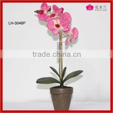 Real Touch Decorative Flower Orchids Plants Fabric Flower in Pot