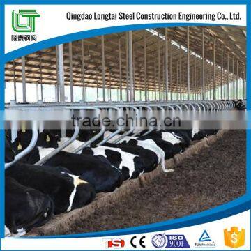 Light Steel Shed for Dairy Cow and Milk Cow