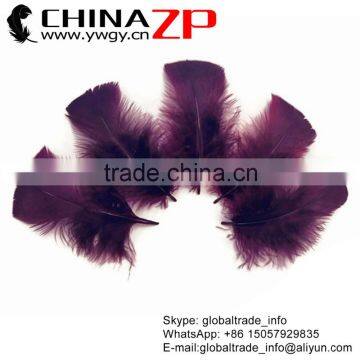 ZPDECOR Colored Plumage Bulk Sale Dyed Plum Turkey T-Base Body Feather for Parties Decorations