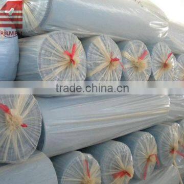 EVA Rolls pe Roll Epdm cr Sbr Rubber Foam Foamie Sponge photo-3