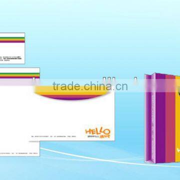 Custom make paper shopping bag for shoes