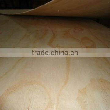 linyi best price of larch plywood to africa and UAE market