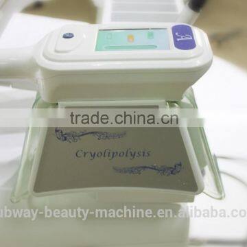 2 Probes Cryolipolysis Slimming Beauty Machine Trim Fast Laser Slim Instrument photo-3