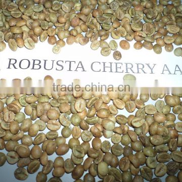 robusta coffee beans wholesalers