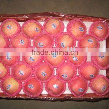 apple, fuji apple, yantai fuji apple, grade A, laiwu wanxin