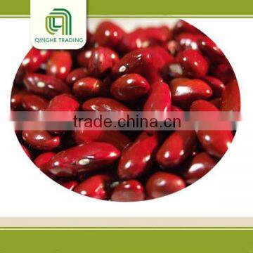 import export business opportunity red kidney beans import