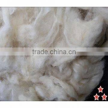 New season and good white scoured sheep wool for carpet yarn