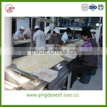 Good Quality Shandong Peanut in Shell With Best Price photo-6