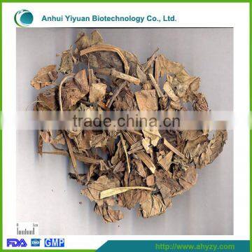 Natural Chinese Herb Medicine Herba Houttuyniae(Yu xing cao)