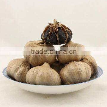 Losing Weight Aged Garlic Bulb Cloves Spawn