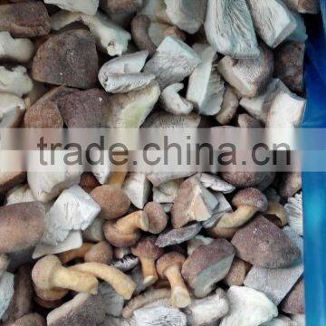 China Dried Mushroom With Stem photo-5