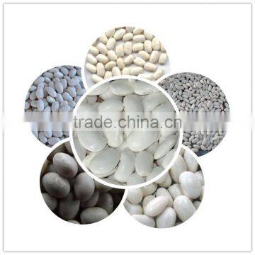 2013 wholesale different types dried beans for weight loss