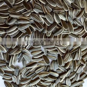 Sell 2016 long striped black bulk organic hybrid sunflower seeds