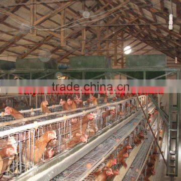 battery chicken cage