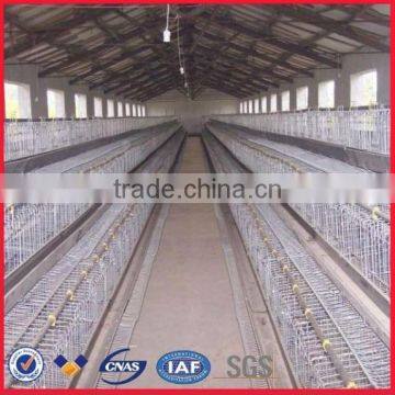 chicken breeding cage