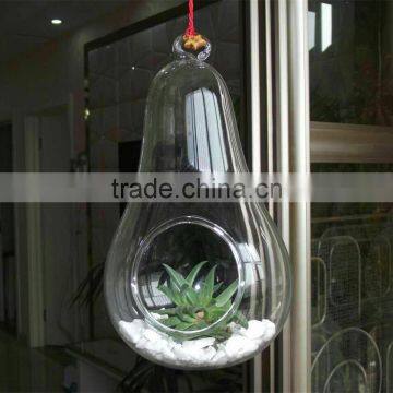 Micro landscape ecological Pear shape Meaty hanging plant glass vase