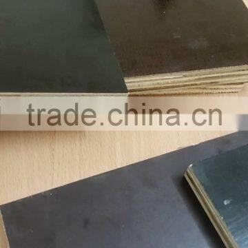 FILM FACED PLYWOOD WITH BRAND NAME - THUAN PHAT WOOD