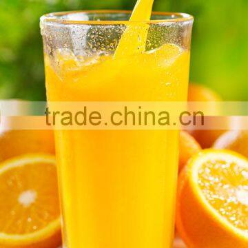 Orange Juice Squeezer/lemon Juice Making Machine/lemon Juice Extractor photo-3