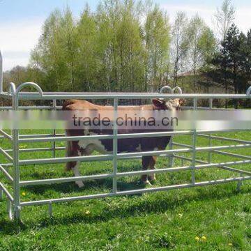 Cattle Stockyards Panels