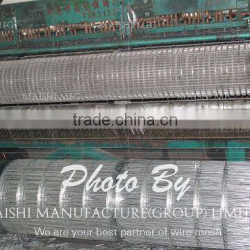 50x50mm Galvanzied Welded Wire Mesh photo-3