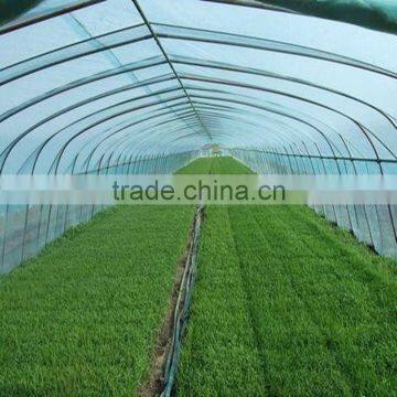 Economical Multi-span Greenhouse For Agriculture Polycarbonate Sheet photo-5