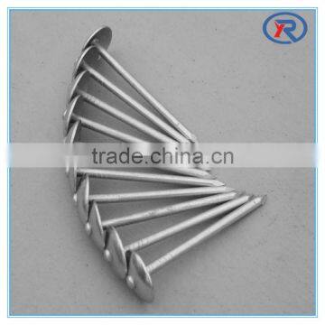Cheap Price BWG12X2" Umbrella Head Roofing Nails With Plain Shank and Washer photo-5