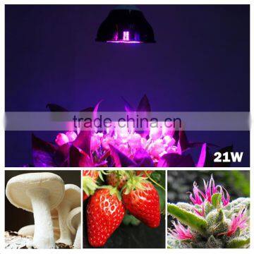 E27/E26 21W Par Led Grow Light Multi-Spectrum Hydroponics Plants Growing Lighting Indoor Graden Light photo-6