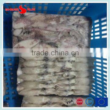 BQF Frozen Baby Loligo Squid photo-2